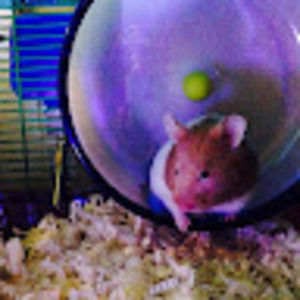 Meet your Posher, Caroline